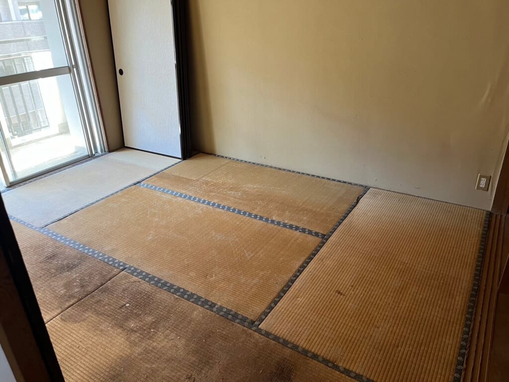 榴岡ゴミ屋敷　その他写真